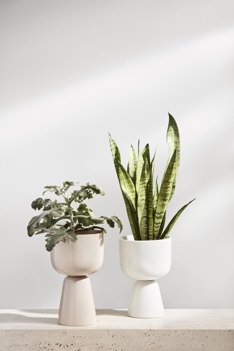 米色和白色的Nappula花盆，由Matti Klenell为Iittala设计