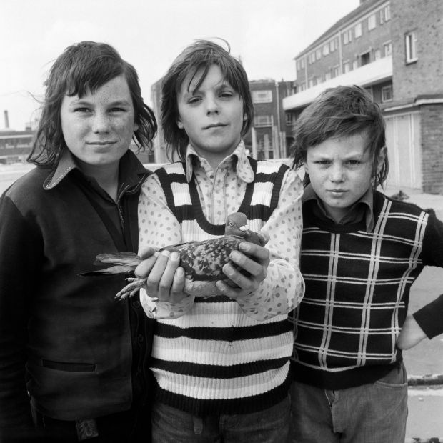 丹尼尔·梅多斯（Daniel Meadows）。1974年国家肖像（三个男孩和一只鸽子）。由艺术家提供