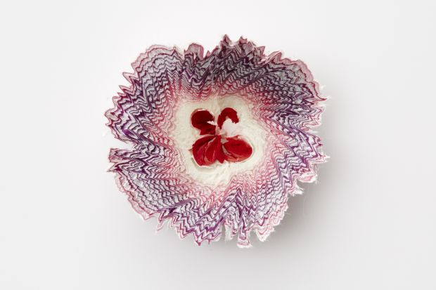 纸花，三泽春香。摄影:Amana Group
